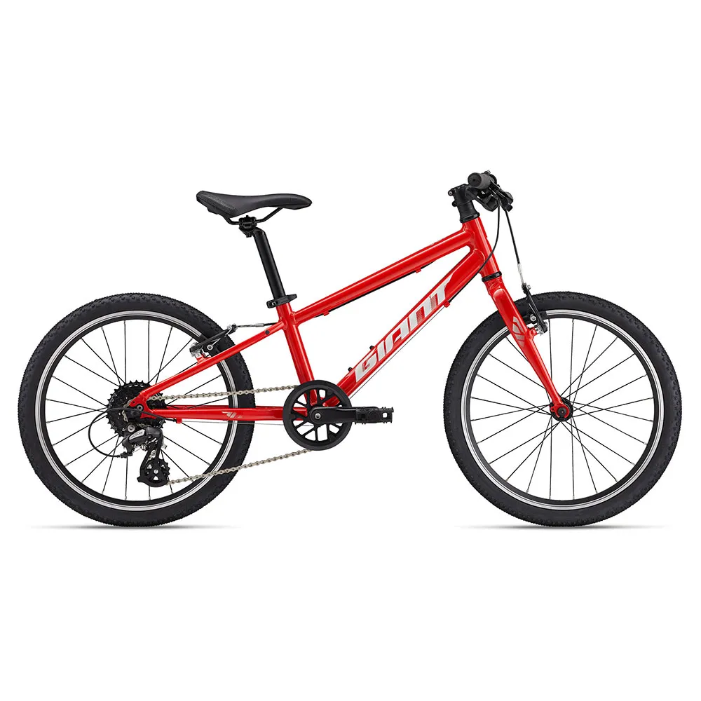 Giant ARX 20´´ Altus RD-M310 2025 mountainbike